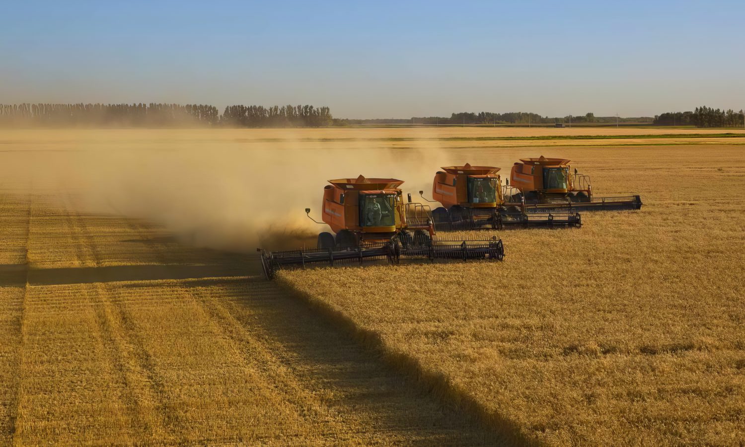 Harvesters-9b5043d72d3849bfb59ba7b28befddc0-topaz-enhance-2.8x